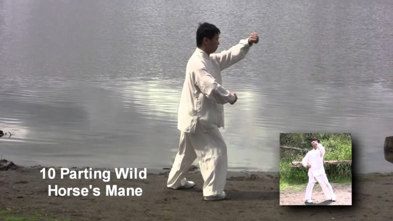 Yang Family Traditional Form 103 Tai Chi Uk Yang Family Traditional Form 103 Tai Chi Uk